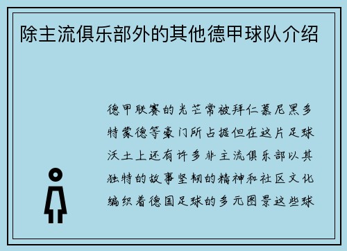 除主流俱乐部外的其他德甲球队介绍